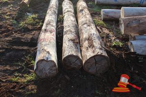 234 · BUNDLE OF 3 X JARRAH LOGS, @ 3.4, ALL 400mm DIAMETER