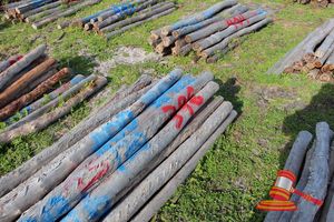 396 · BUNDLE OF 25 X JARRAH FENCE POSTS LOGS - 2.0 M LONG, 100mm DIAMETER