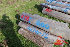 378 · BUNDLE OF 10 X JARRAH FENCE POSTS LOGS, 1.0 - 1.5M LONG, 200mm DIAMETER