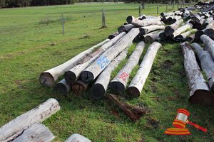 292 · BUNDLE OF 8 X JARRAH LOGS, 3.5 - 4.0M LONG, ALL 250mm DIAMETER