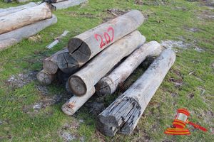 207 · BUNDLE OF 10 x JARRAH STRAINER POST LOGS, 1.8 - 2.3 M LONG, ALL 250mm DIAMETER