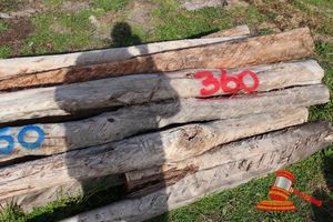 360 · BUNDLE OF 25 X JARRAH FENCE POSTS LOGS, 2.0M LONG, 150mm DIAMETER
