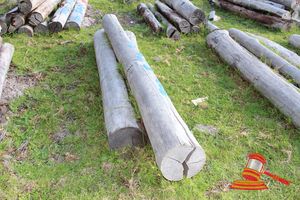 205 · BUNDLE OF 3 X JARRAH LOGS, 2.3 - 3.0 M LONG, ALL 300mm DIAMETER