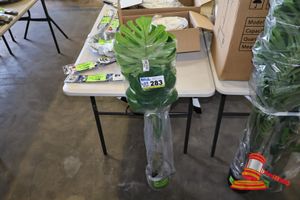 283 · MONSTERA TREE 110CM