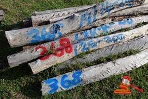 368 · BUNDLE OF 19 X JARRAH FENCE POST LOGS, 1.4 - 2.0M LONG, 125 - 200mm DIAMETER