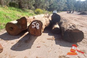 58 · 7 x CORYMBIA CALOPHYLLA MARRI LOGS APPROX DIMENSIONS:6-11.4m/500-1000mm APPROX WEIGHT: - 25 TONNES, NOTE: DOMESTIC PROCESSING REQUIRED