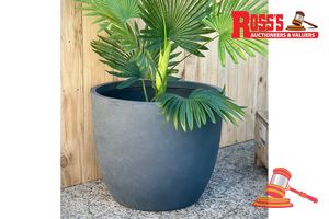 28 · Matching set of 2 Glossy White Planters - Sizes: 34 x 30 cm, 41 x 35 cm, RRP $190 Create a stylish designer display from the Base Low Planter range, featuring a low tapered round planter with a smooth finish, this range brings a clean, contemporary look to homes, patios, courtyards, entryways and landscaped spaces. Constructed from lightweight fibreglass-clay construction, it combines practical lightweight handling with a premium look. It is designed for indoor and outdoor use, UV resistant, Dra