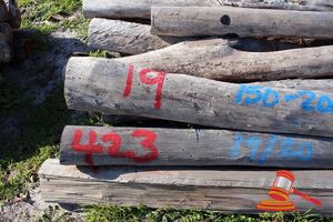 423 · BUNDLE OF 19 X JARRAH FENCE POSTS LOGS - 2.0 M LONG, 150 - 200mm DIAMETER