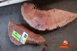 Jarrah Off Cut Slice, L400/440mm X W150mm/400mm X D 70/80mm, Qty 2, Approx