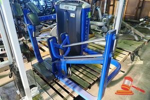 53 · 1 X MATRIX GLUTE MACHINE, BLUE FRAME, 140 POUND STACK OF WEIGHTS, ON A PALLET (SOME MARKS)