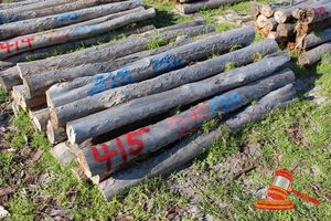 415 · BUNDLE OF 25 X JARRAH FENCE POSTS LOGS - 2.0 M LONG, 150mm DIAMETER