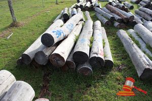 309 · BUNDLE OF 12 X JARRAH STRAINER POST LOGS, 2.4M LONG, 250 - 300mm DIAMETER