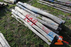 404 · BUNDLE OF 25 X JARRAH FENCE POSTS LOGS - 2.0 M LONG, 100mm DIAMETER
