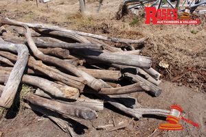 116 · FWL208 - FlREWOOD LOGS Landscape Log Sticks (Bundle)