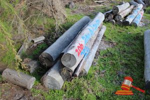 206 · BUNDLE OF 7 X JARRAH STRAINER POST LOGS, 2.4 - 2.7 M LONG, ALL 250mm DIAMETER