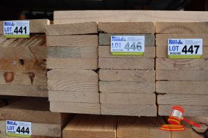 446 · 16x LENGTHS OF NON-STRUCTURAL, UNTREATED PINE TIMBER, APPROX 170 x 35mm x 2.4m