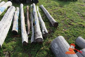 307 · BUNDLE OF 8 X JARRAH STRAINER POST LOGS, 1.8 - 2.4M LONG, ALL 150mm DIAMETER