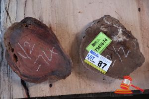 JARRAH SLICE/COOKIE, L260/300mm x W240/250mm x D30/35 x QTY 2, APPROX SIZES