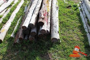 356 · BUNDLE OF 25 X JARRAH FENCE POSTS LOGS, 2.0M LONG, 125mm DIAMETER