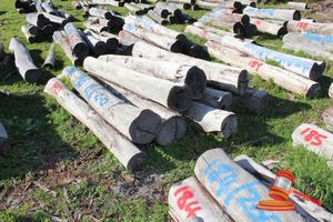 190 · BUNDLE OF 10 X JARRAH STRAINER POST LOGS, 2.0 M LONG, ALL 250mm DIAMETER