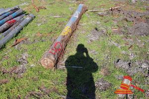 467 · 1 X JARRAH LOG, 4.0 M LONG, 300mm DIAMETER