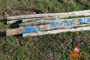 369 · BUNDLE OF 8 X JARRAH FENCE POST LOGS, 2.0M LONG, 100 - 125mm DIAMETER