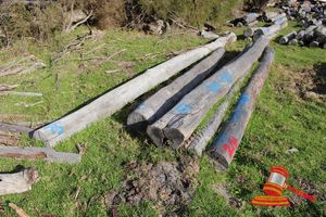 214 · BUNDLE OF 5 X JARRAH LOGS, 4-7 - 5.2 M LONG, ALL 300mm DIAMETER