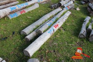 204 · BUNDLE OF 4 X JARRAH LOGS, 3.0 M LONG, ALL 200mm DIAMETER