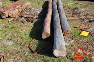 178 · BUNDLE OF 3 X JARRAH LOGS, 1 @ 6.9, 1 @ 7.9, 1 @ 8.6 M LONG, ALL 300mm DIAMETER