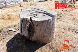 ALL201 - LANDSCAPE LOGS 1100-1200mm (Diameter) x 0.9m Landscape Log