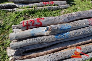 425 · BUNDLE OF 18 X JARRAH FENCE POSTS LOGS - 2.0 M LONG, 150mm DIAMETER