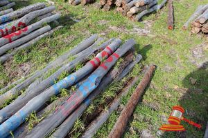 401 · BUNDLE OF 25 X JARRAH FENCE POSTS LOGS - 2.0 M LONG, 100mm DIAMETER