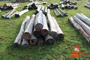 318 · BUNDLE OF 11 X JARRAH LOGS, 10 @ 2.2, 1 @ 3.0M LONG, ALL 250mm DIAMETER