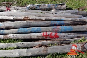466 · BUNDLE OF 17 X JARRAH FENCE RAILS LOGS, 3.0 M LONG, 125 - 150mm DIAMETER