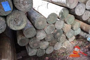 25 X Approx 2.4m X 150-175mm Pine Posts