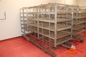 67 · 3 X ASSORTED STAINLESS STEEL 5 AND 6 TIER MOBILE DRYING TROLLEYS WITH STAINLESS STEEL MESH SHELVES. APPROX 1030 X 1020 X H1950MM