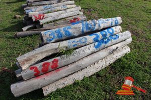 388 · BUNDLE OF 16 X JARRAH FENCE POSTS LOGS, 1.2 - 1.8 M LONG, 150 mm DIAMETER