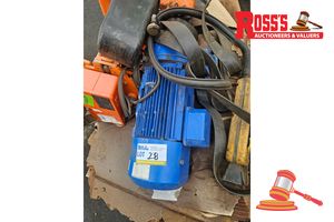 1 Tonne Blue Electric Chain Hoist (Ps1864)