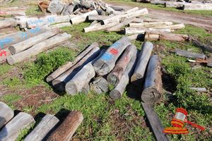 183 · BUNDLE OF 10 X JARRAH STRAINER POST LOGS, 1.8 - 2.2 M LONG, ALL 250mm DIAMETER