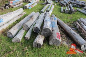 210 · BUNDLE OF 10 X JARRAH LOGS, 2.7 - 3.3 M LONG, ALL 300mm DIAMETER
