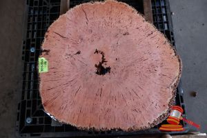 JARRAH BURL SLICE, LIVE EDGE, L890mm x W860mm x 800mm x 870mm x 440mm x DEPTH 45/50mm, APPROX