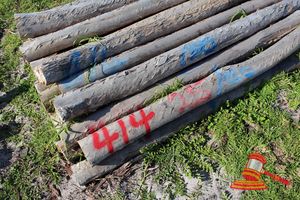 414 · BUNDLE OF 25 X JARRAH FENCE POSTS LOGS - 2.0 M LONG, 150mm DIAMETER