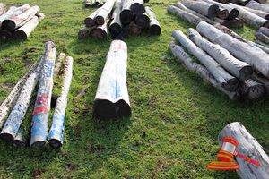 327 · BUNDLE OF 1 X JARRAH STRAINER POST LOGS, 1.9M LONG, ALL 350mm DIAMETER