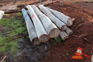 236 · BUNDLE OF 9 X JARRAH LOGS,3.8 -4.4 M LONG, ALL 300mm DIAMETER
