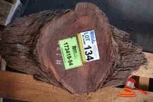 134 · JARRAH SLICE/COOKIE, L500mm x W300mm x D40mm, APPROX SIZES