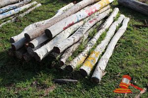 352 · BUNDLE OF 25 X JARRAH FENCE POSTS LOGS, 2.0M LONG, 100 -125mm DIAMETER