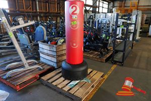 24 · 1 X FREE STANDING PUNCH BAG, RED, WITH WEIGHTED BASE, ON A PALLET (SOME MARKS)