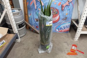 177 · 1 X ARTIFICIAL SNAKE PLANT, IN BLACK POT