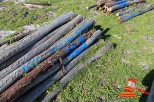 428 · BUNDLE OF 25 X JARRAH FENCE POSTS LOGS - 2.0 M LONG, 100 - 125mm DIAMETER