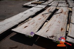 Live Edge Marri Slab, 5.2 X 600/900 X 60